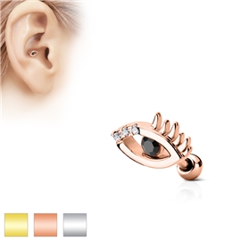 Činka do ucha - oko PNC00095 1