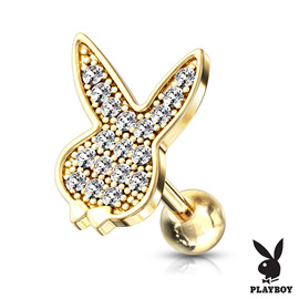 Činka do ucha - Playboy - PNC00132 4