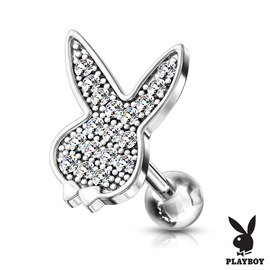Činka do ucha - Playboy - PNC00132 2