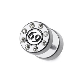 Falešný piercing do ucha s kamínky PFA00309 18