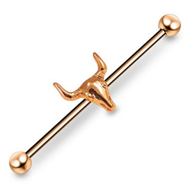 Industrial piercing - hlava býka PIN00069 4