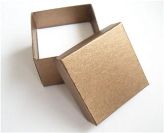 Krabička SPIRIT PEARL - hnědá 1