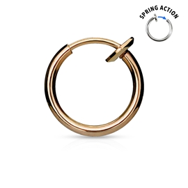 Kruh segment PKR00129 3