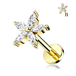 Labreta - kytička - PLA00278 5