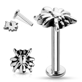 Labreta - pavouček PLA00184 1