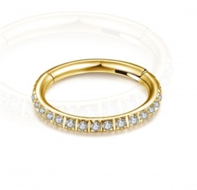 Piercing kroužek - segment PKR00114 2